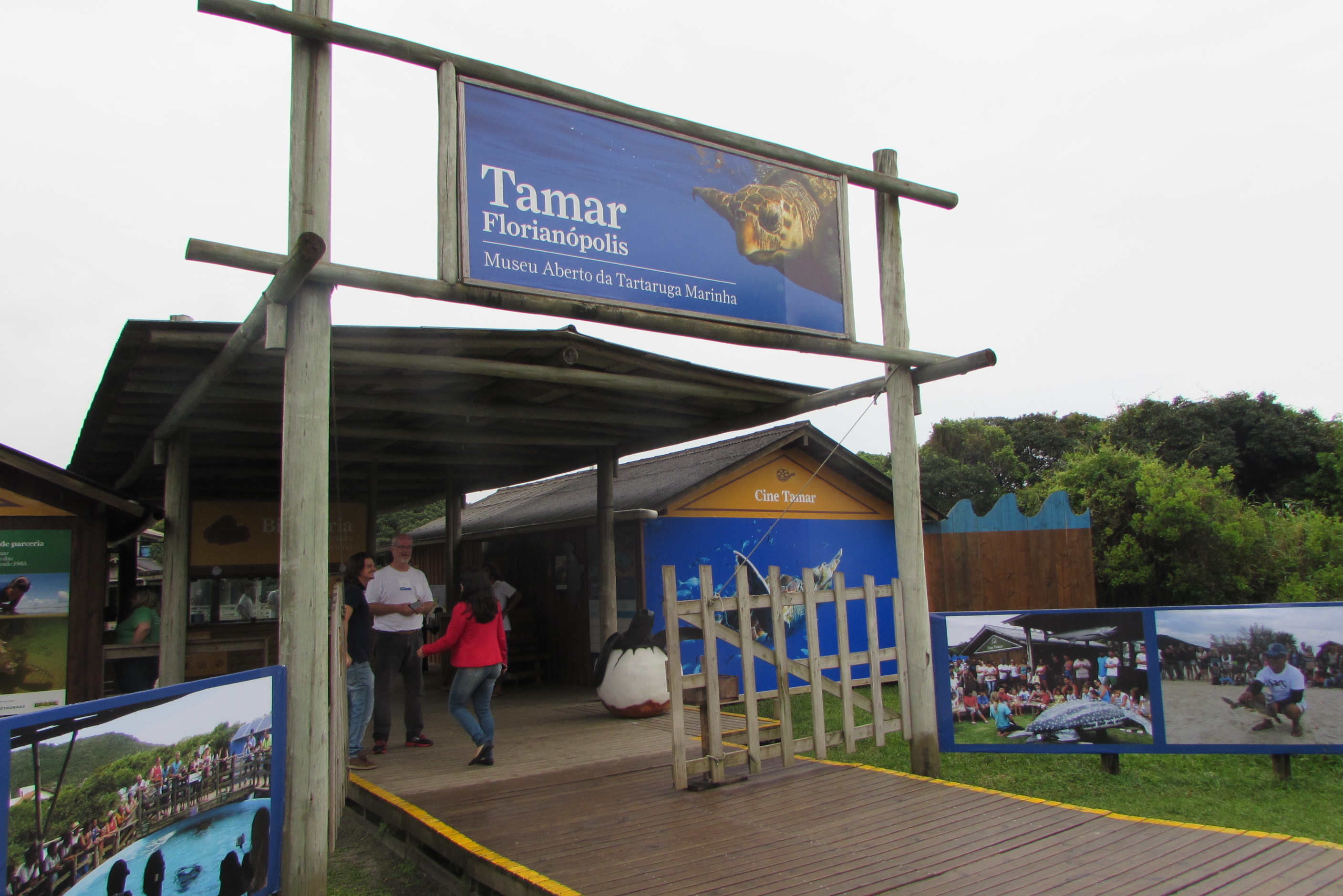 Projeto Tamar e Museu Aberto da Tartaruga Marinha, em Florianópolis